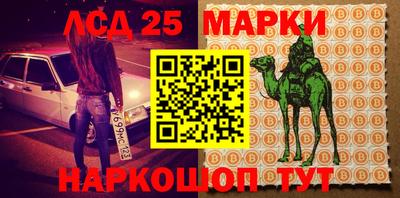 a pvp Новодвинск