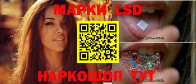 стафф Обнинск