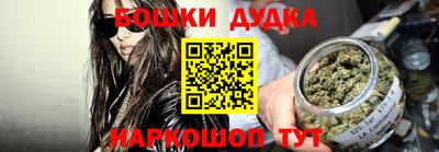 a pvp Новодвинск
