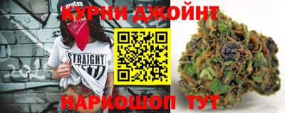 a pvp Новодвинск