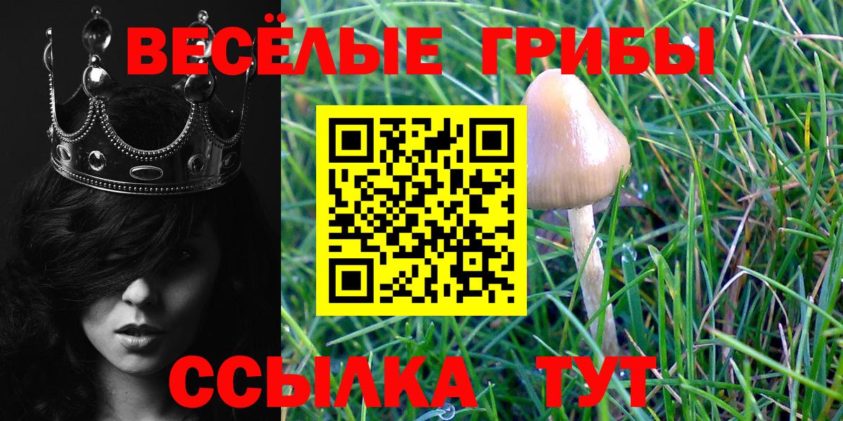Псилоцибиновые грибы GOLDEN TEACHER Трёхгорный